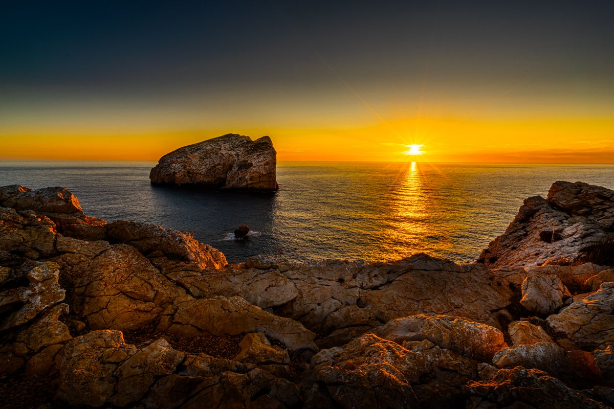 GuruShots - Nature March 2026
