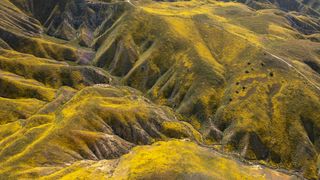 n an aerial view, the colors of various wildflower species color the hills of the Temblor Range, the mountain range that is pushed up on the east side of the San Andreas Fault, at Carrizo Plain National Monument