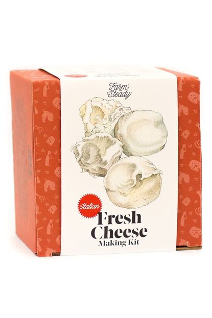 Brooklyn Brew Shop FarmSteady Fresh Cheese Making Kit in Red at Nordstrom