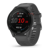 Garmin Forerunner 255