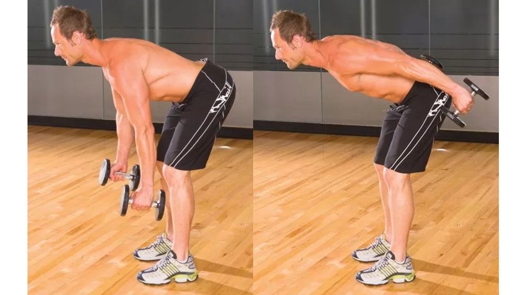 How To Do The StraightArm Dumbbell KickBack Coach