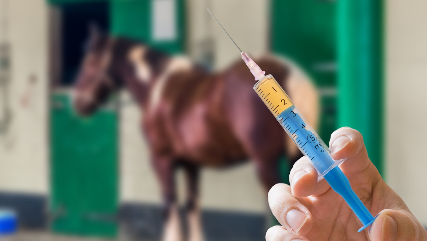 Injection.jpeg