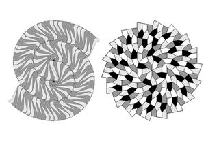 Examples of spiral tessellations.