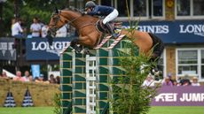 sweden nations cup