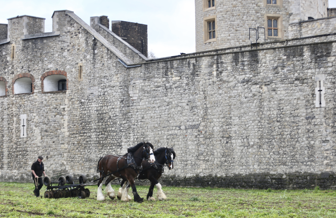 Shires2