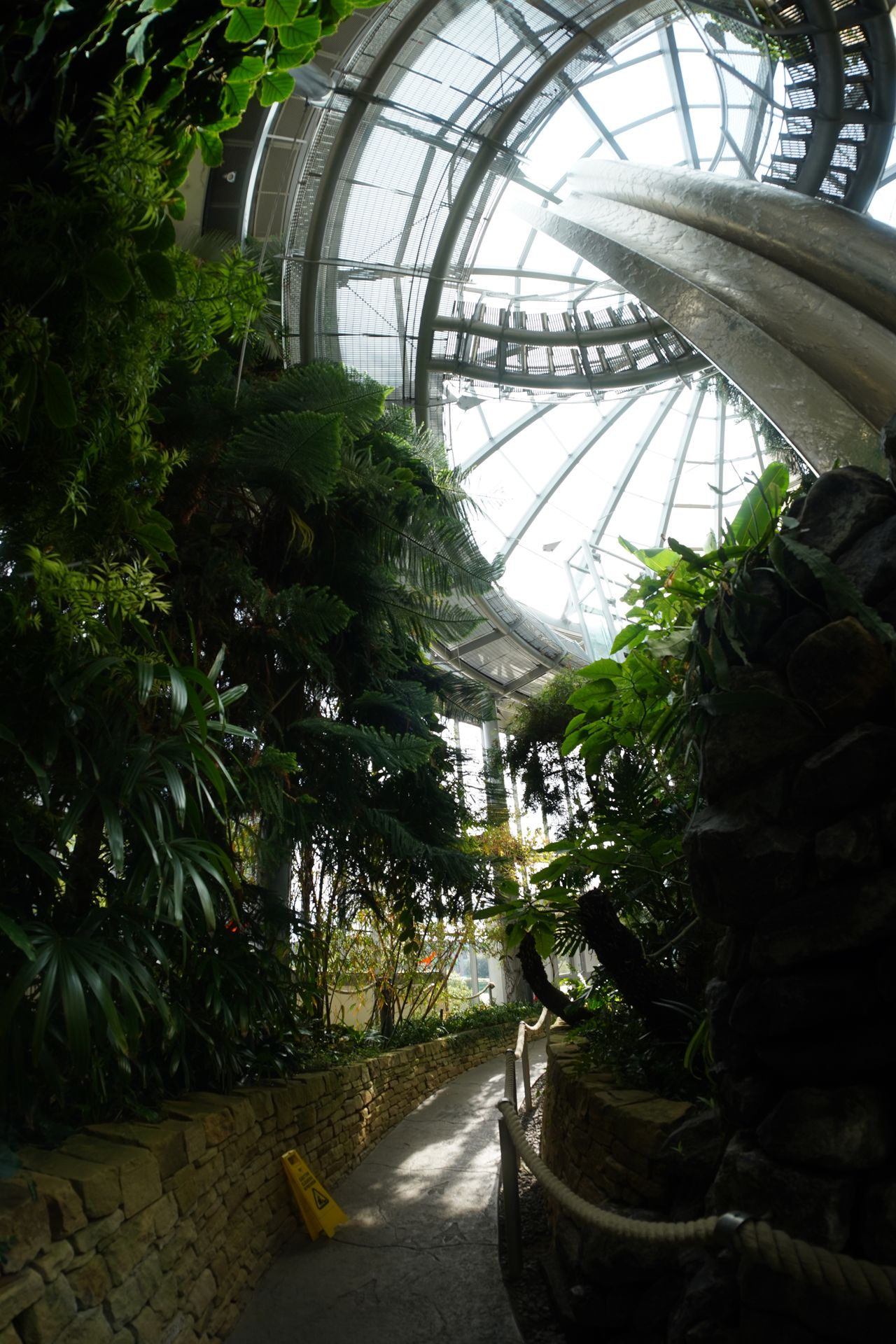 AstrHori 12mm f/2.8 Fisheye lens review