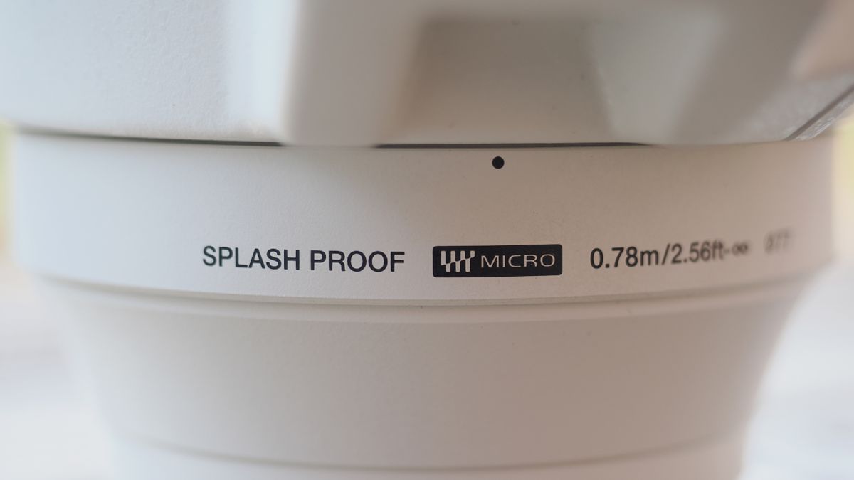 The OM System M.Zuiko 50-200mm f/2.8 IS Pro lens, mounted to the OM System OM-1 Mark II, in an outdoor setting