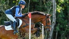 Bramham Horse Trials showjumping
