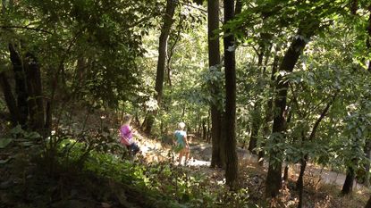 People walk on the Appalachian Trail.