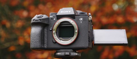 Sony A1 II mirrorless camera outdoors on a tripod with autumn leaves background