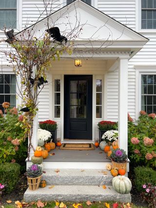 A front porch with Halloween decor including pumpkins and foliage