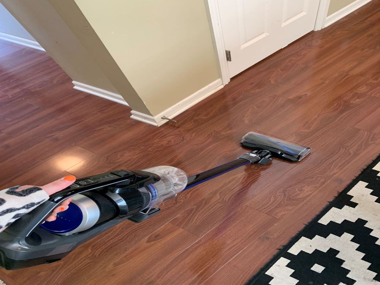 Bissell ICONpet Cordless Vacuum review Homes & Gardens