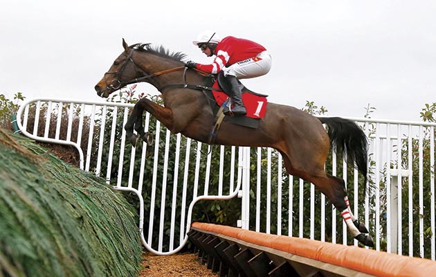 Coneygree