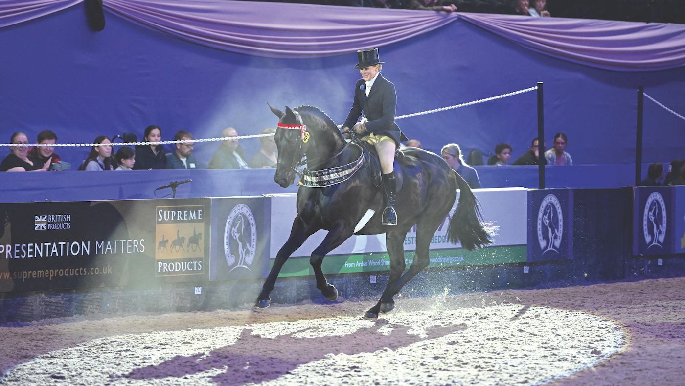 Forgeland Hyde Park: example of training a show hack to perform