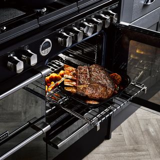 Quad Oven with Proflex Splitter showing a roast leg of meat cooked nicely in the oven