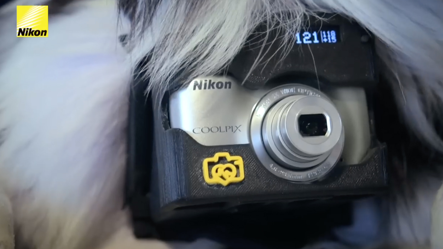 A screenshot of the Nikon Heartography ad with a dog taking pictures using a compact camera