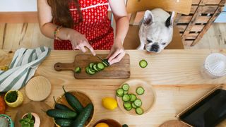 can dogs eat cucumbers