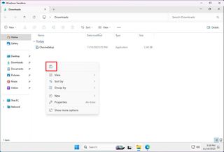 Transfer files on Windows Sandbox