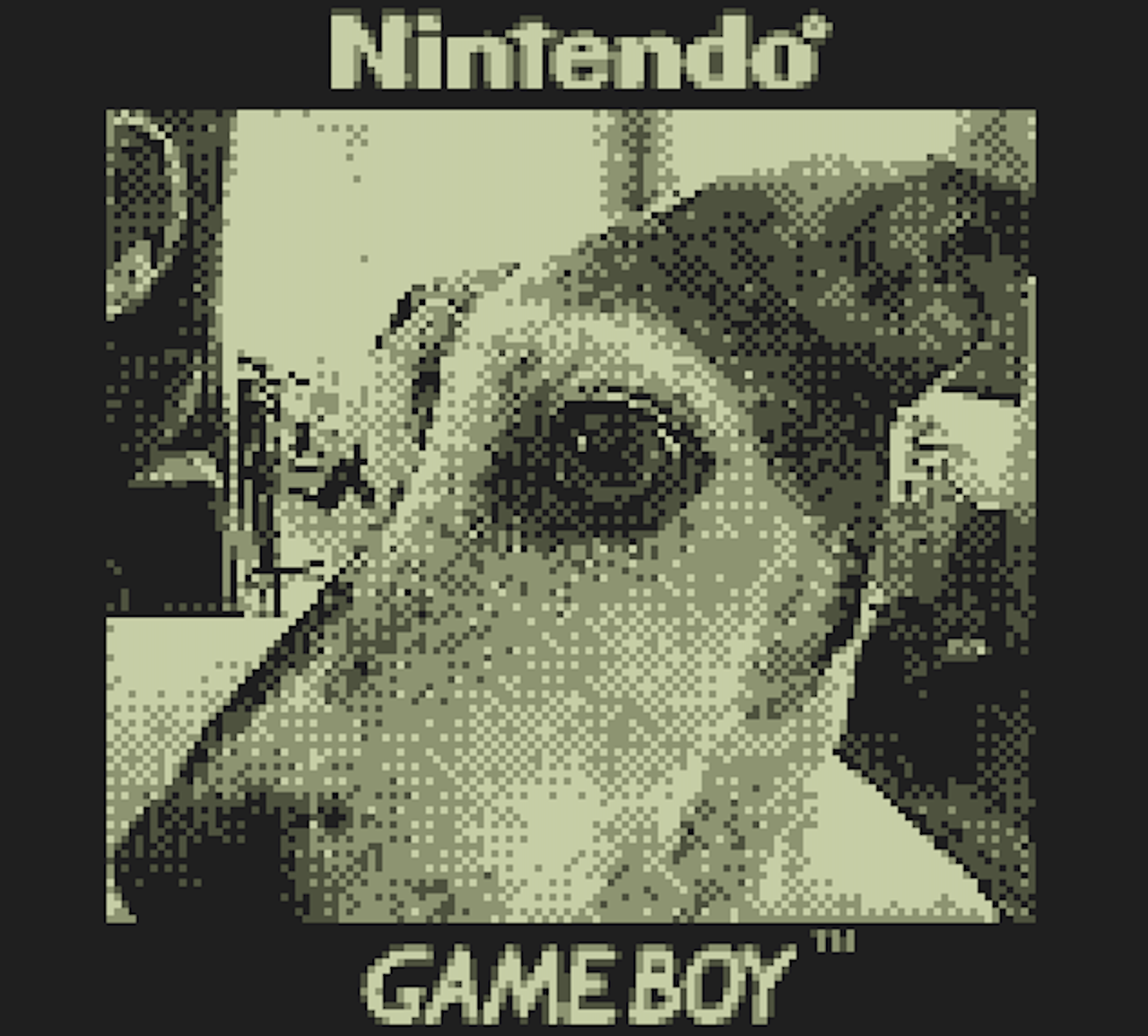 This Game Boy Camera can shoot photos of the moon
