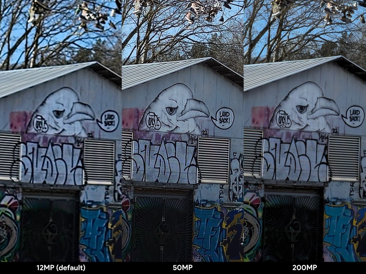 The difference between a 12 MP, 50 MP, and 200 MP photo from a Samsung Galaxy S23 Ultra