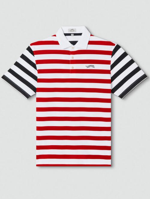 Cardinal Polo