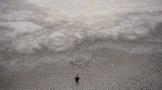 The dry lakebed of Lake Velence is visible after water level drops to lowest on record following weeks of scorching temperatures Pakozd, Hungary