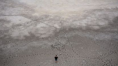 The dry lakebed of Lake Velence is visible after water level drops to lowest on record following weeks of scorching temperatures Pakozd, Hungary
