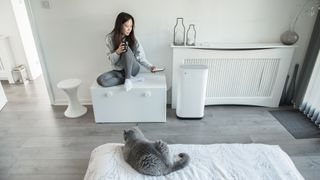 How do air purifiers work? Image of woman sitting next to air purifier with cat