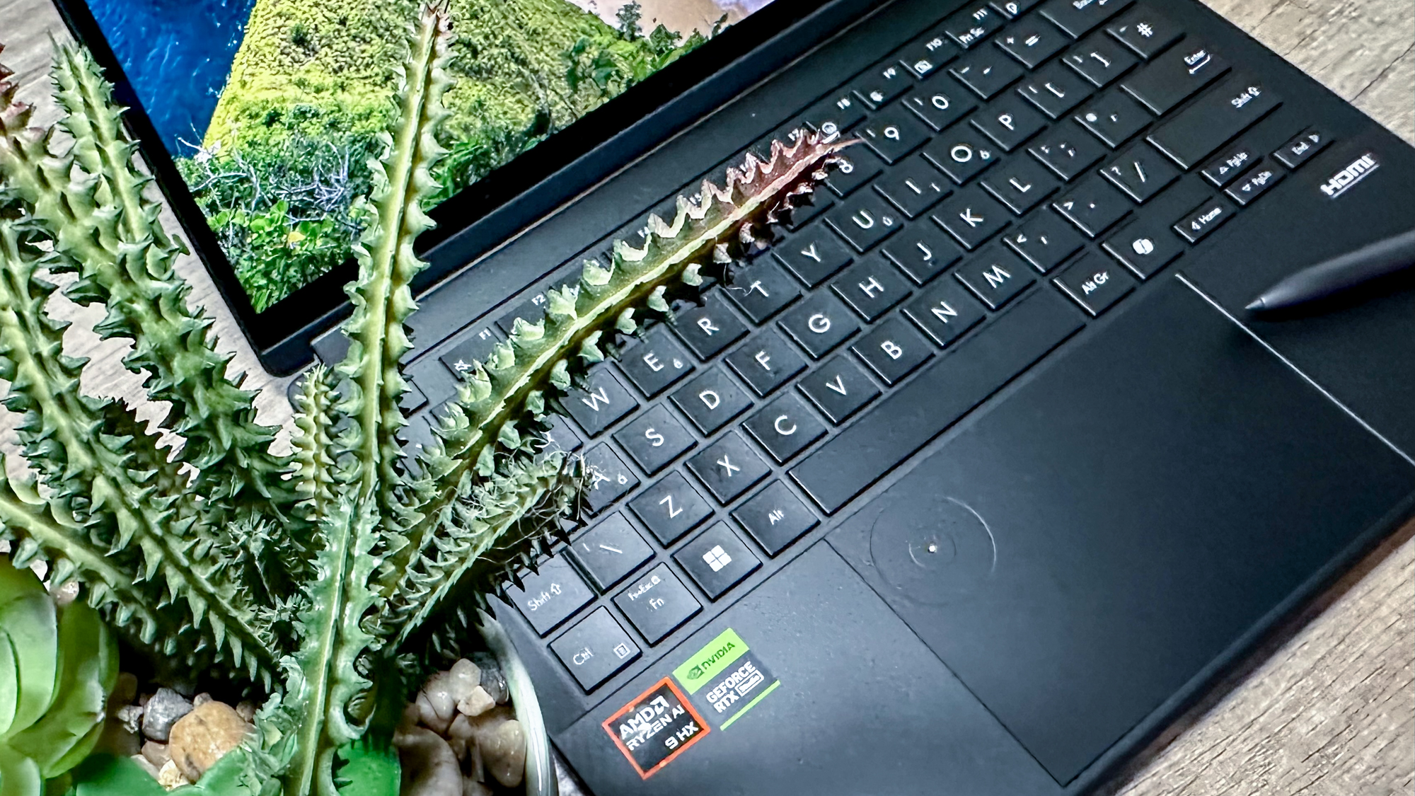 Asus ProArt PX13 DialPad with a plant next to the laptop