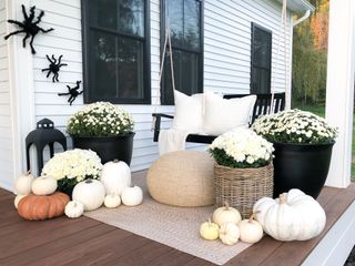 White front porch with large spiders and mums and spooky signage