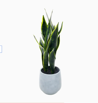 faux potted snake plant from lowe's origin 21