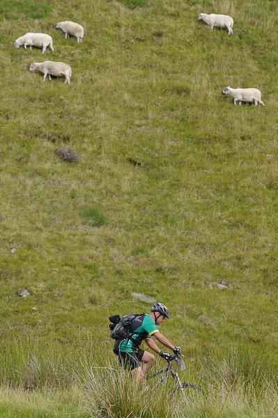 A lone rider