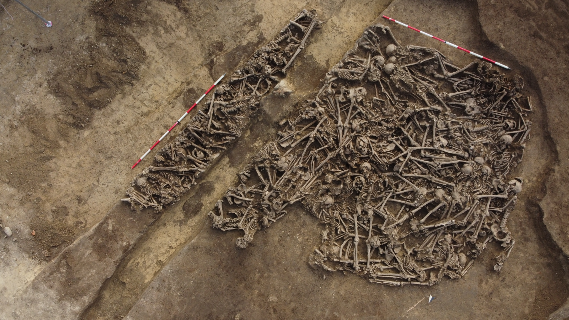 an excavated mass grave full of human skeletons with a section missing from a previous excavation