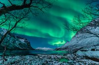 A view of bright green northern lights above a snowy landscape with a lake.