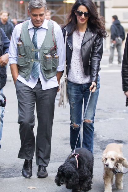 George and Amal Clooney Dog