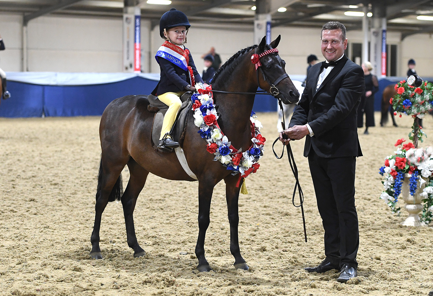 BSPS Champs. 27.08.22BSPS Overall Supreme Champs.Champ. No 938 Derw Dream Boy