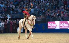 Horse-No-939_Olympia_PN17_4490.jpeg