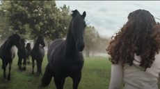 Lloyds Bank advert &lsquo;Drumbeat&rsquo;: the black horses are galloping through the suburbs in the banks latest advertising campaign