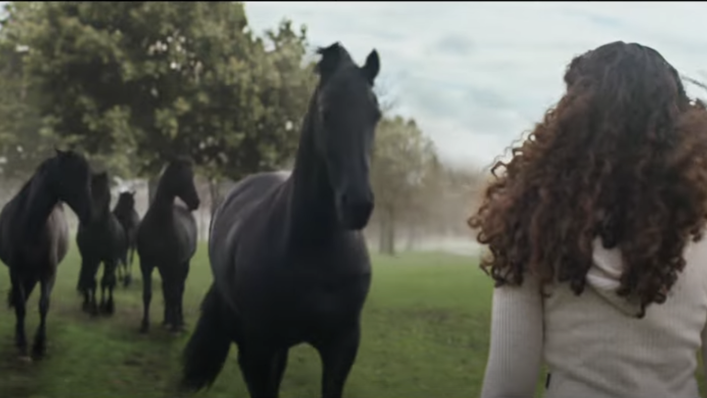 Lloyds Bank advert &amp;lsquo;Drumbeat&amp;rsquo;: the black horses are galloping through the suburbs in the banks latest advertising campaign