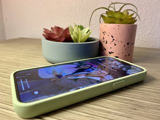 Pela Sage Green Hearts Iphone 13 Pro Case Raised Edges