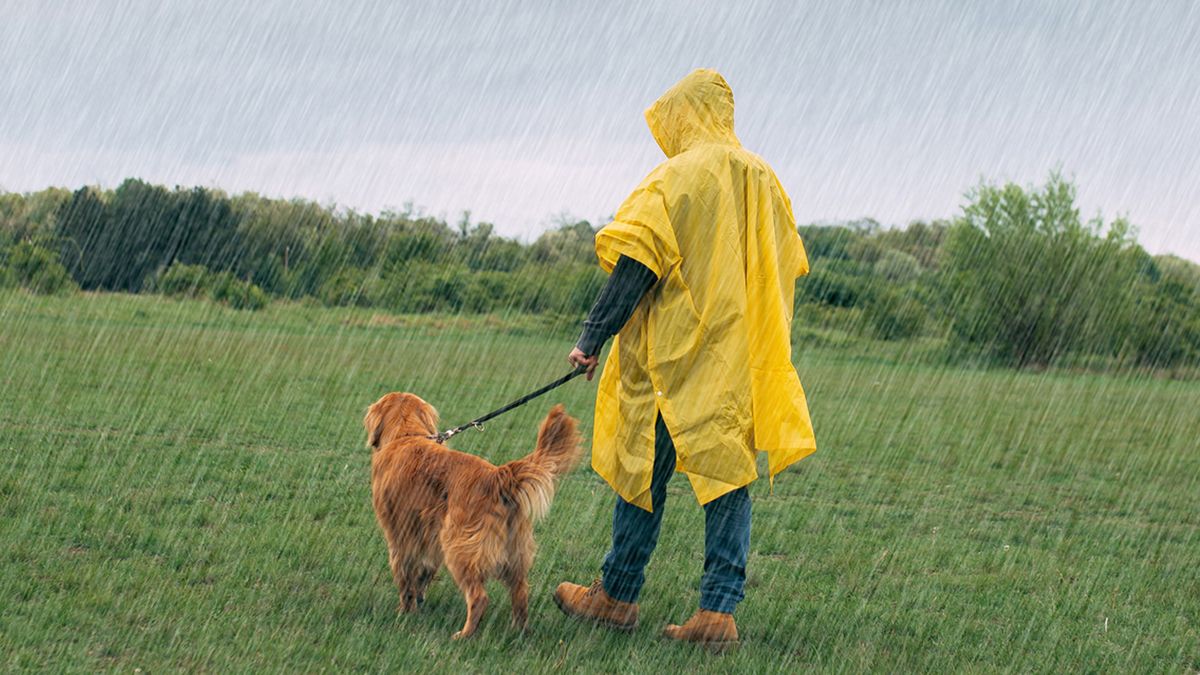 Man walking dog in a rain storm