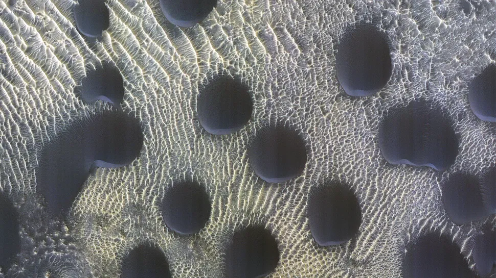 Perfectly circular sand dunes