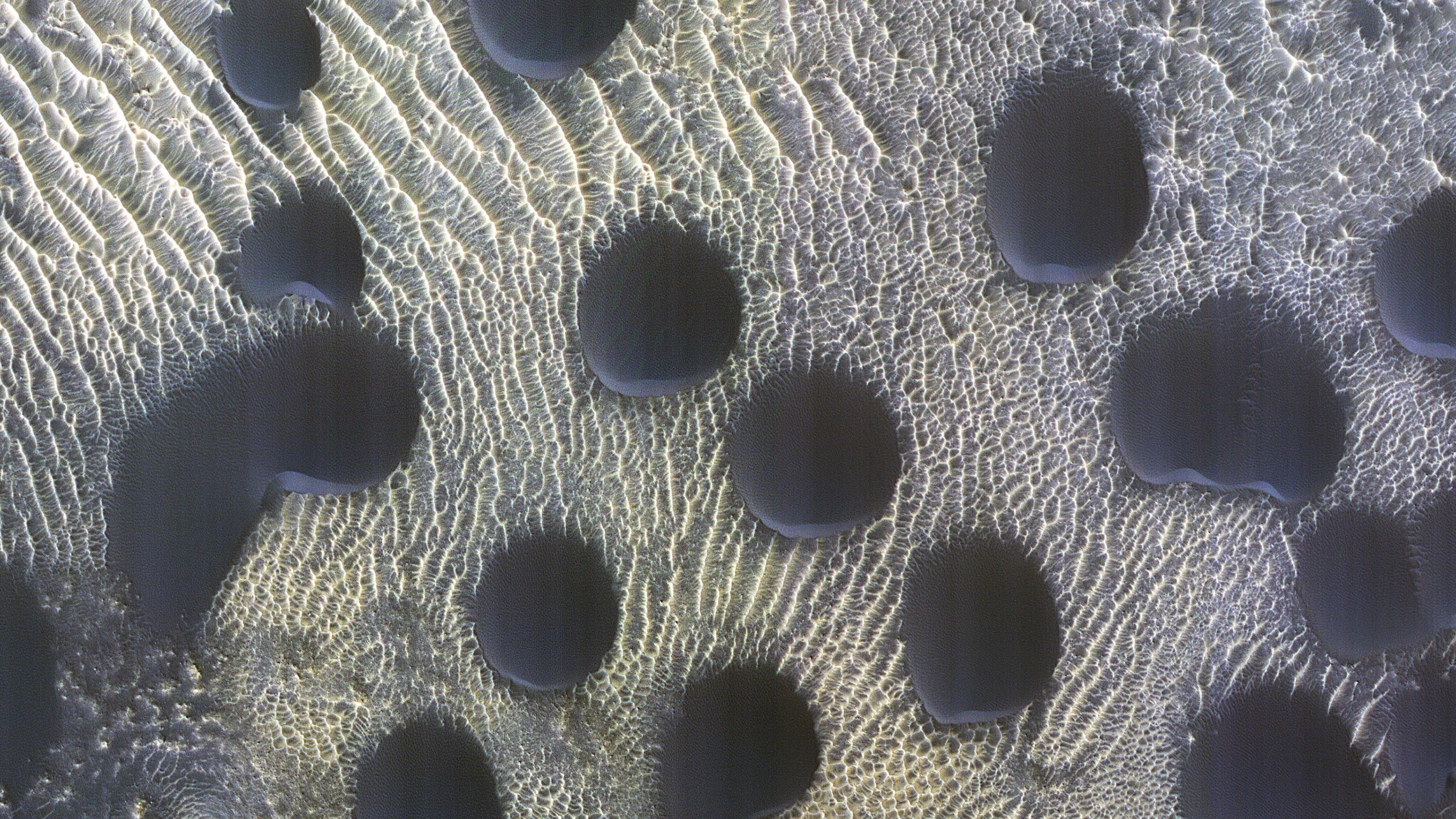 Almost perfectly circular sand dunes dot the surface of Mars.