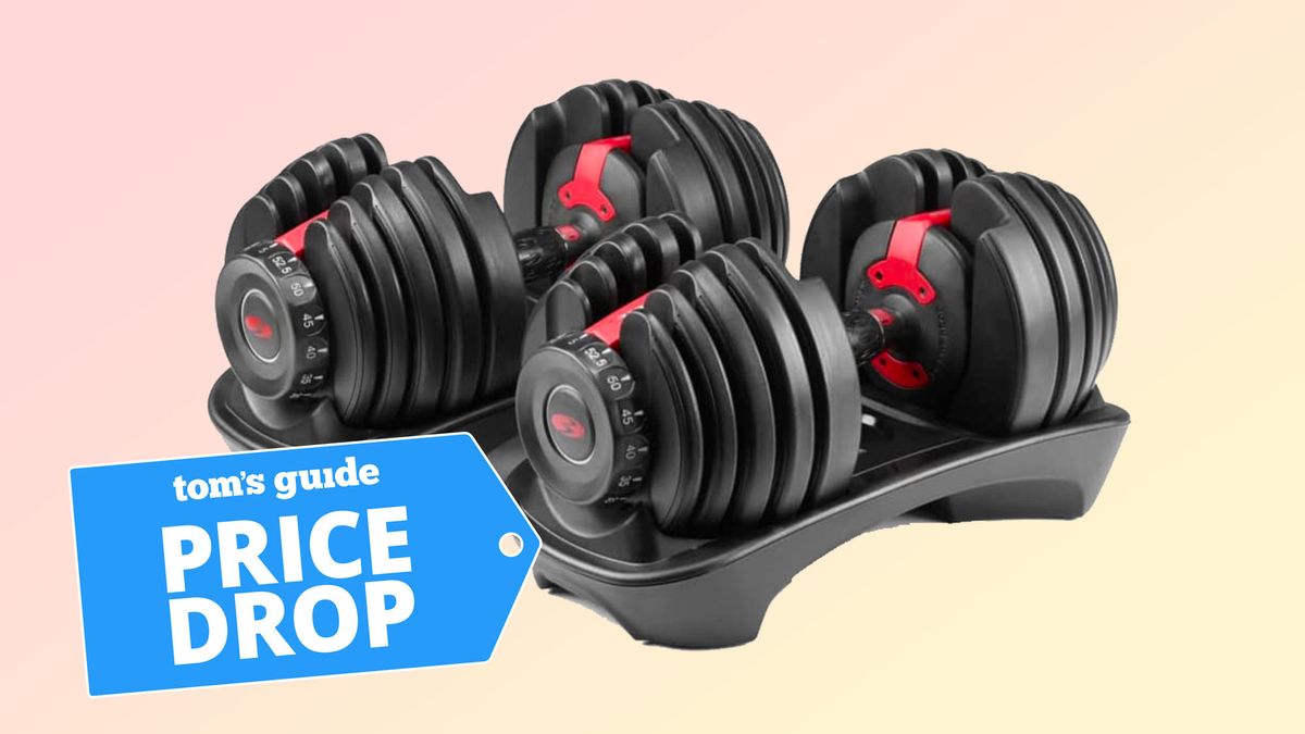 Bowflex SelectTech 552 Adjustable Dumbbells