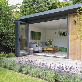 outdoor area with lavender flowers