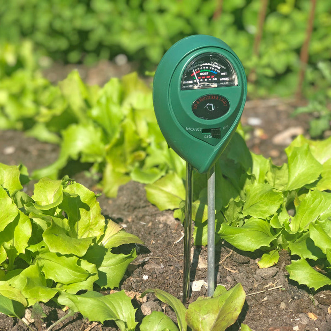 Ph Moisture & Light Meter