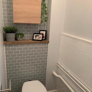 bathroom with grey tiles painted and hanging plants