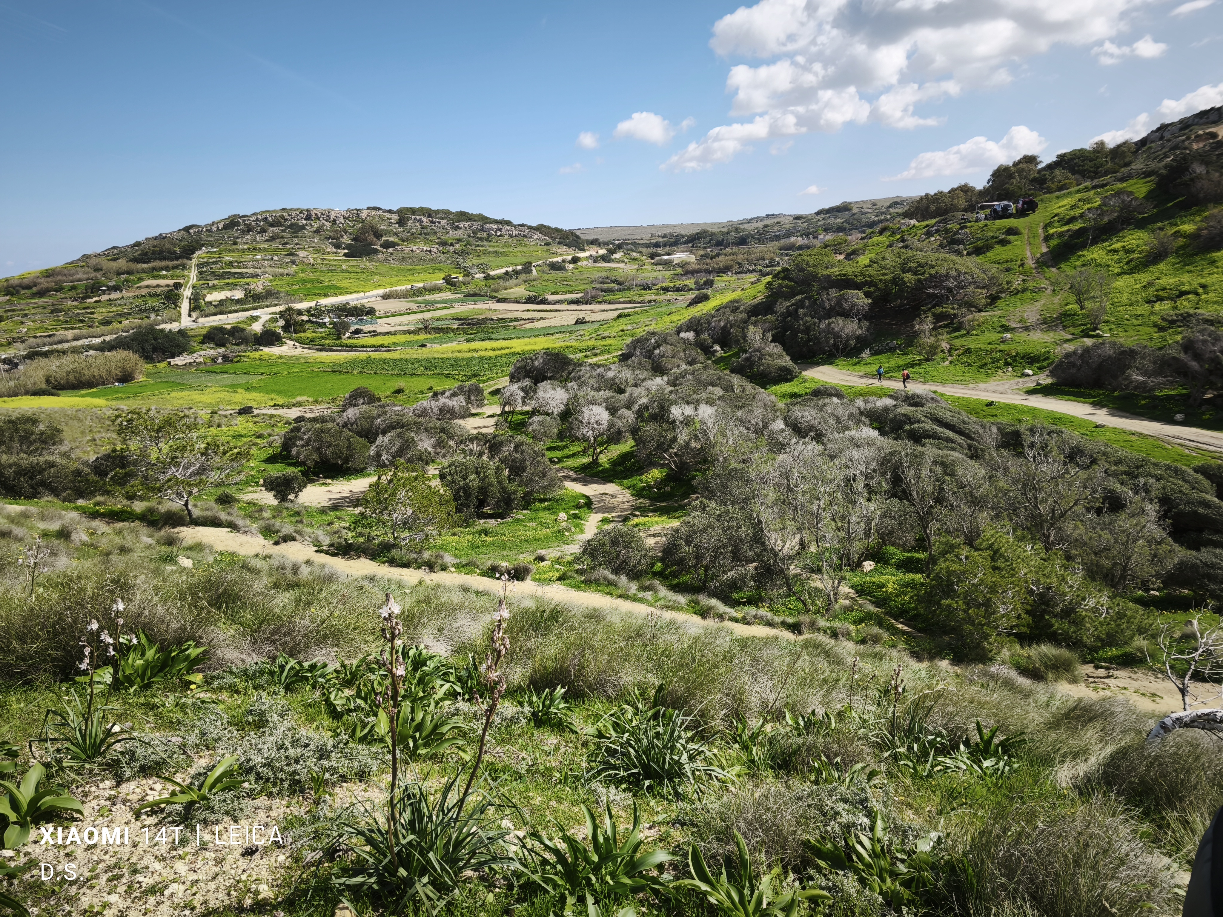 GuruShots - Nature&rsquo;s Masterpiece 2026