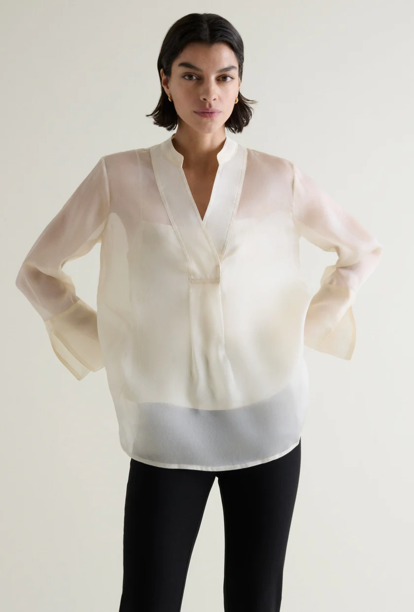 An image of the Rise and Fall sheer blouse.