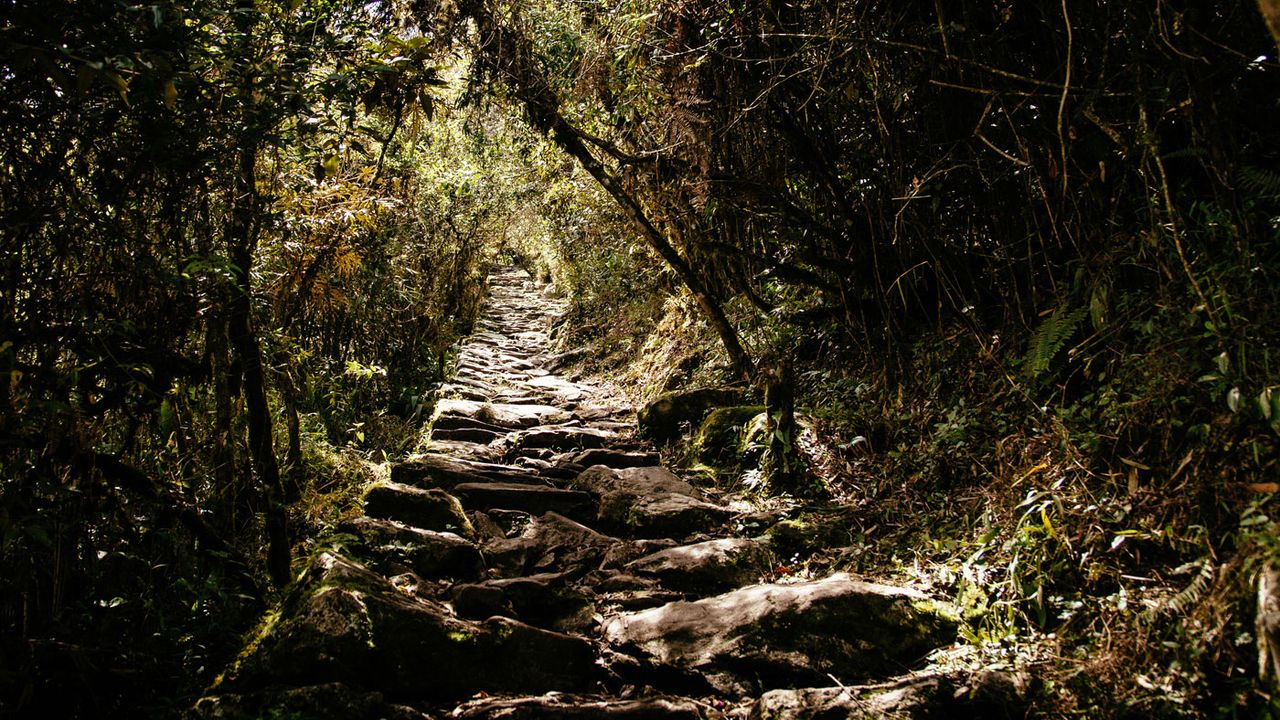 Machu Picchu with Mountain Lodges of Peru